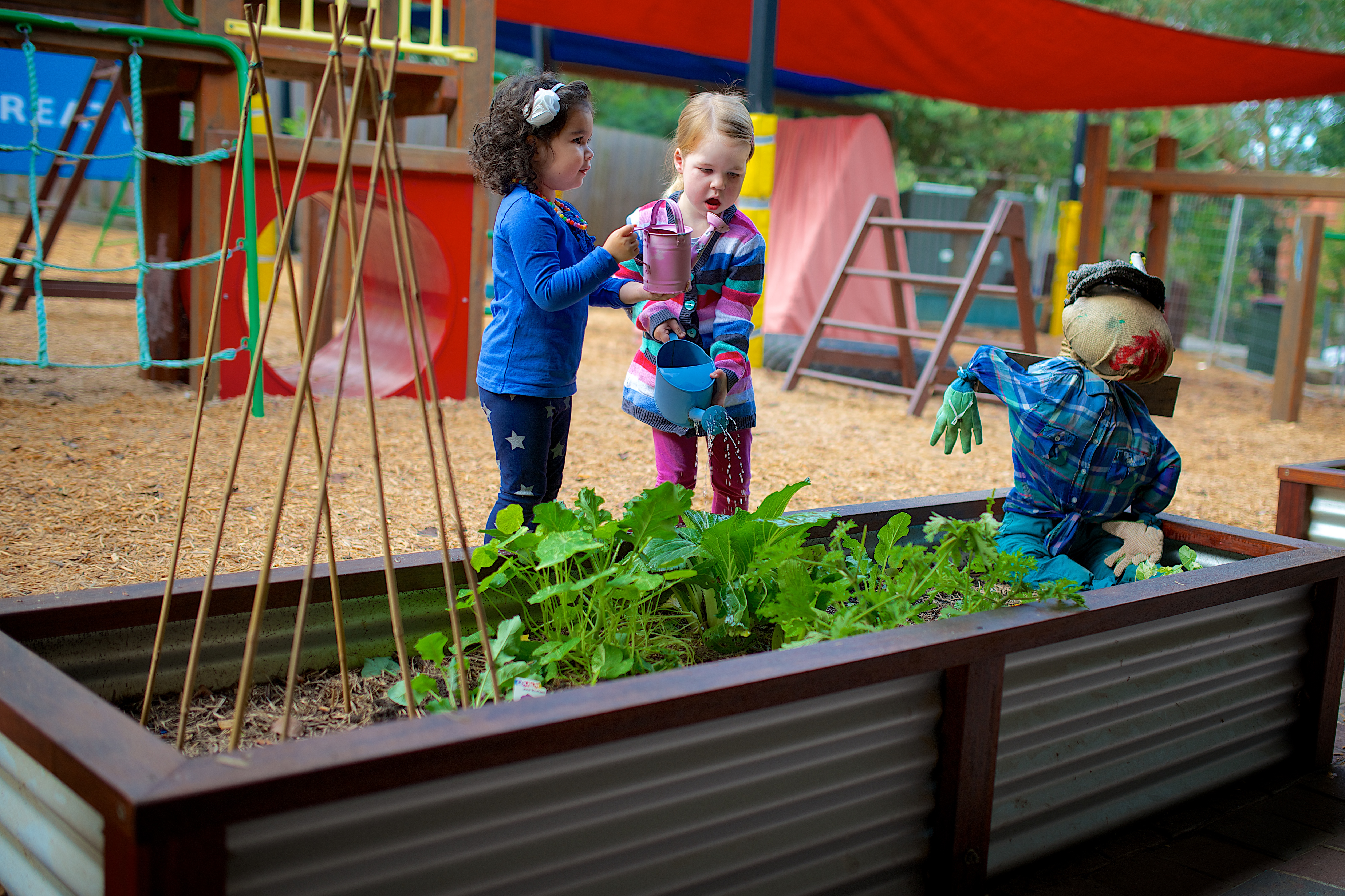 Children watering vegitables in a raised planter box